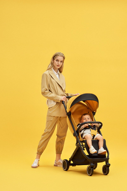 Детская прогулочная коляска Anex AIR-X Ax-04/L yellow