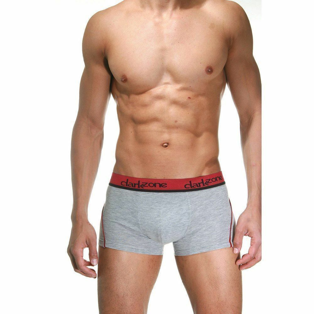 Трусы мужские боксеры серые DARKZONE DZN3103