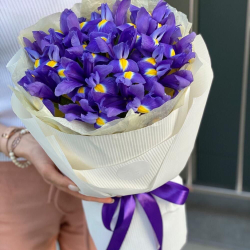 Букет Ирисов