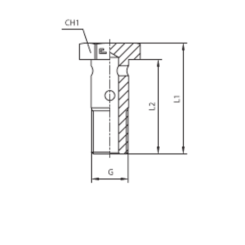 Фитинг BANJO BOLT G5/8