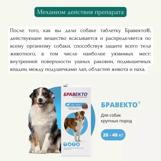 MSD Animal Health Бравекто для собак 20-40 кг, таблетки 1000 мг 1 шт. в уп., 1 уп.