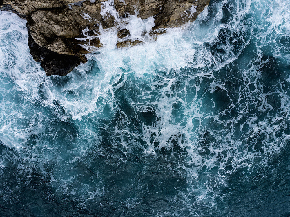 Дизайнерские обои Wall Street Bird see