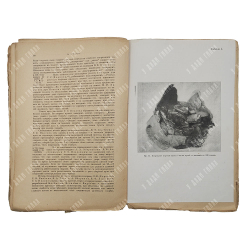 Таубер А. С. Огнестрельные повреждения при современном вооружении армий, 1903.