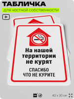 Табличка для частной территории "На нашей территории не курят", на дом, для участка, для подъезда, организаций, предупреждающая, 40х30 см, Silver Plane x Айдентика Технолоджи