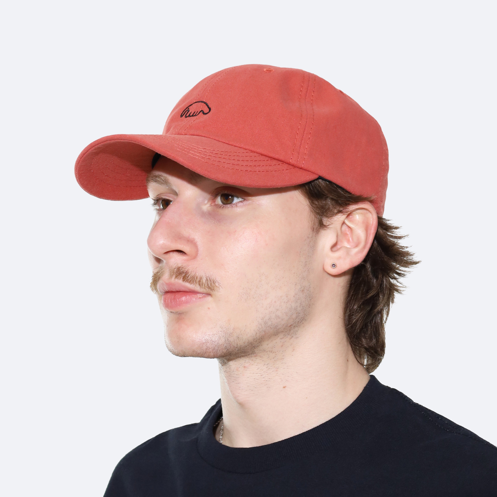 Кепка Anteater 6Panel (coral) артикул:Rz1FRsqmhPV4u79mRlJGl3 - купить в магазине Дайс