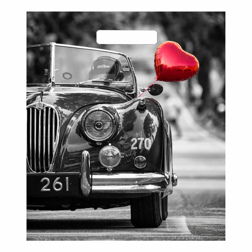 Пакет с вырубной ручкой Раритет (31х40)