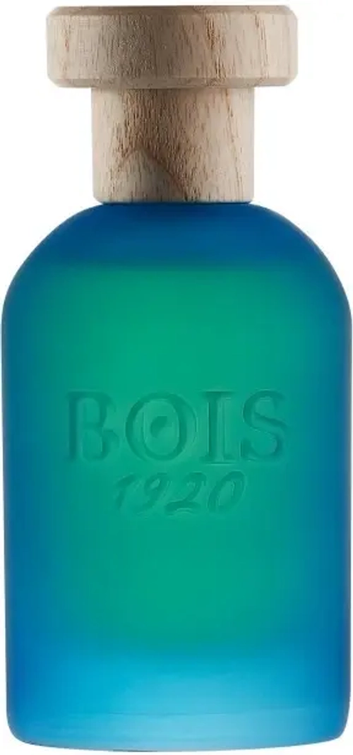 BOIS 1920 CANNABIS SALATA EDP 100 ML