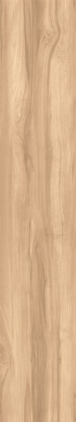 FOSSIL WOOD BRICH CW-RT09-B