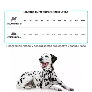 Сухой корм Karmy Hypoallergenic Medium & Maxi для взрослых собак средних и крупных пород, склонных к пищевой аллергии, с ягненком