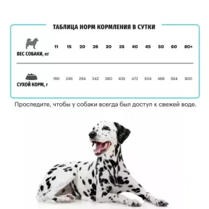 Сухой корм для взрослых собак средних и крупных пород, Karmy Hypoallergenic Medium & Maxi, склонных к пищевой аллергии, с ягненком