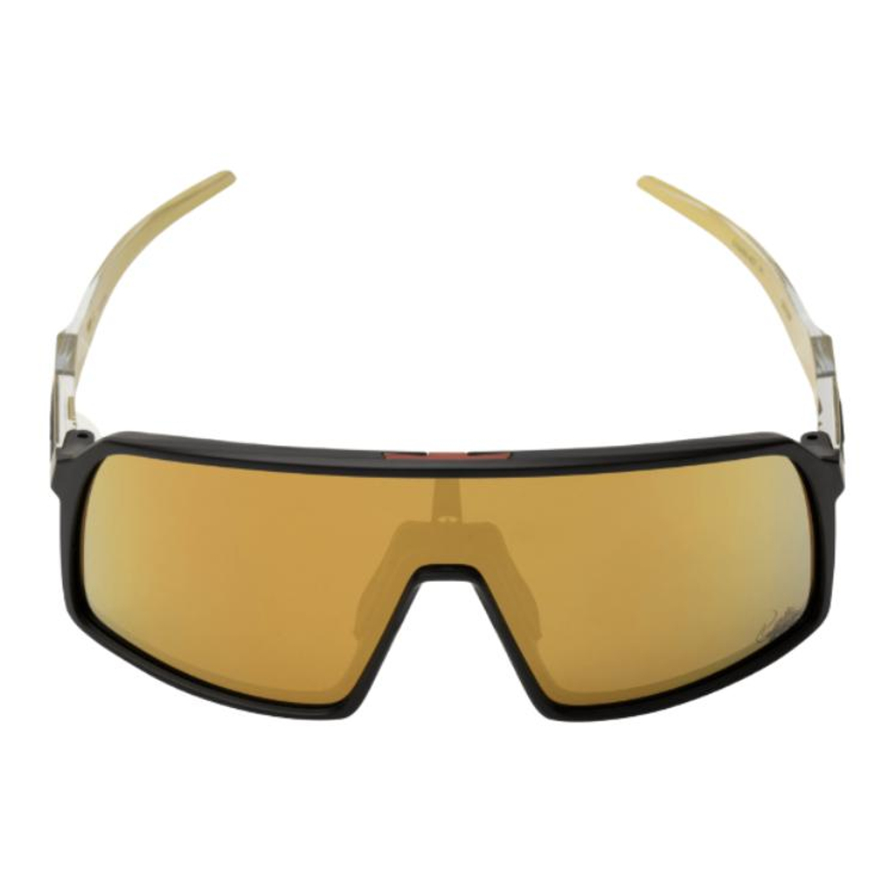 Oakley Plastic Irregular Shape Очки
