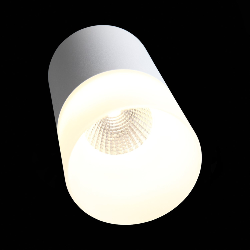 ST100.502.15 Светильник потолочный Белый LED 1*15W 3000K 1 170Lm Ra&gt;80 120° D118xH150 170-240V Накладные светильники