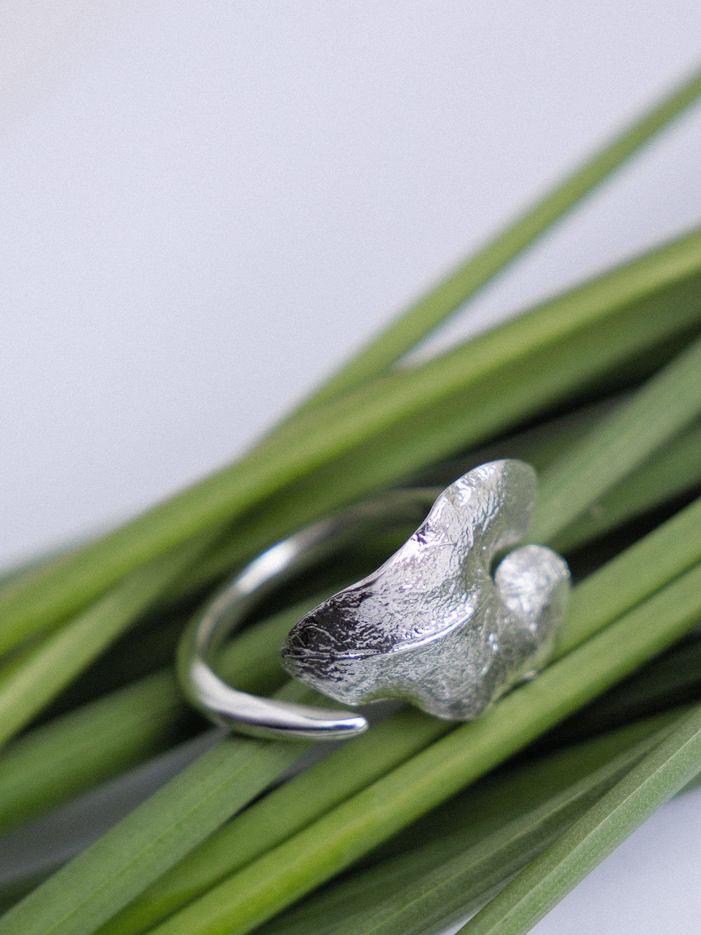 Кольцо Вьюн