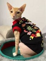 Одежда для кошек сфинкс и собак мелких пород