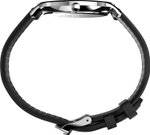 Мужские наручные часы Timex TW2V28300