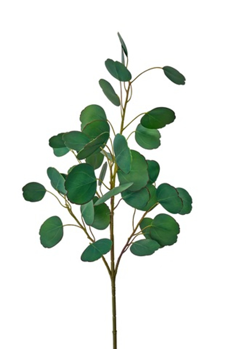 Ветка эвкалипта объемная Silver Dollar