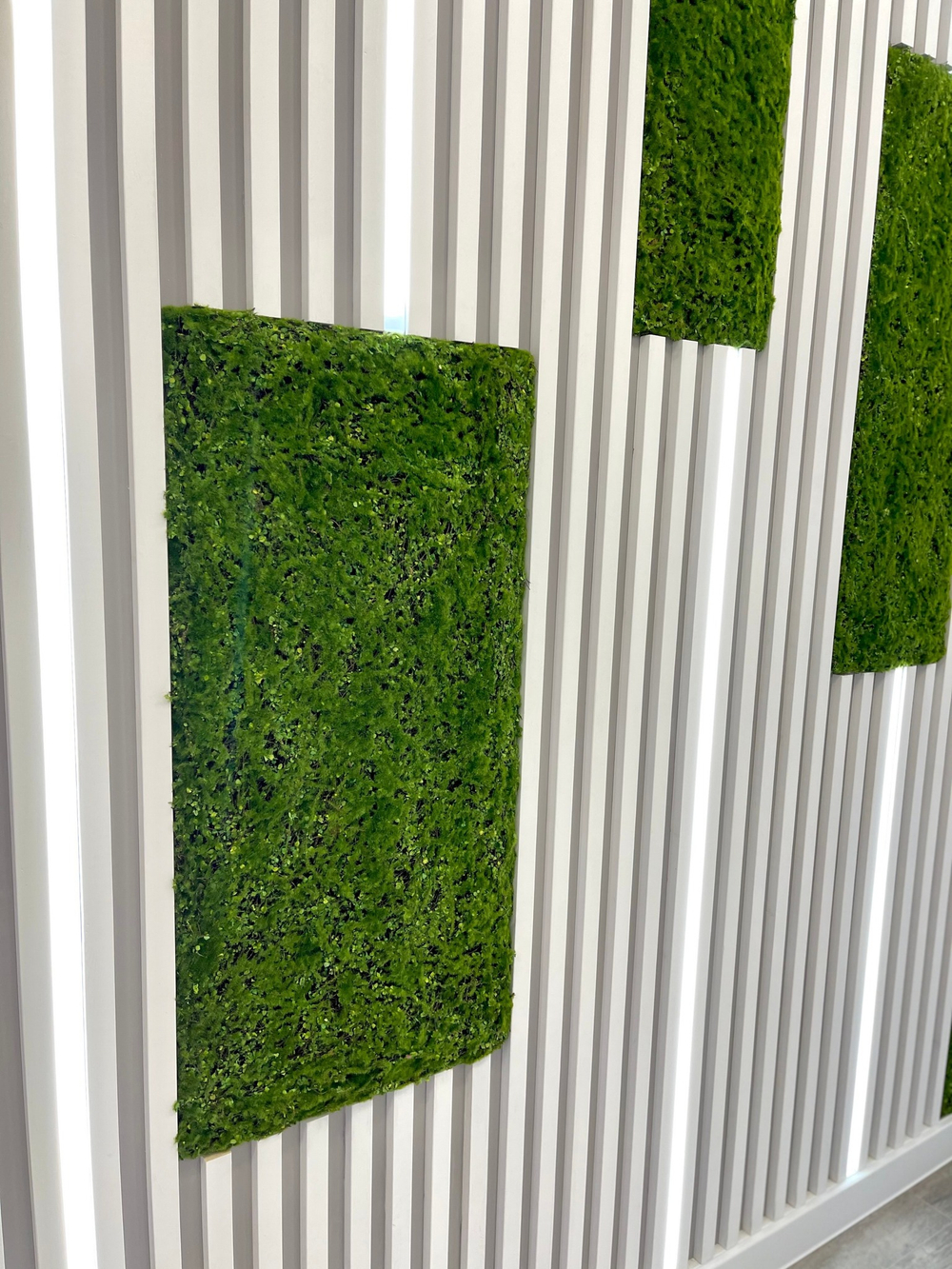 Вертикальное озеленение частного интерьера искусственным мхом. г.Краснодар