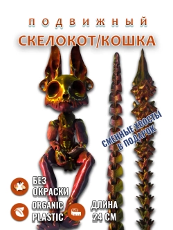 Скелет Кошки
