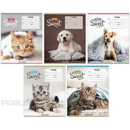 Тетрадь 18л, линия, Спейс Питомцы Pretty sweet