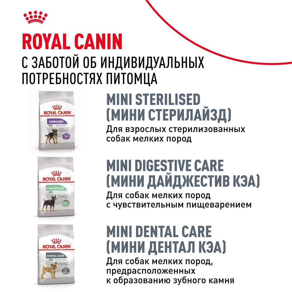 Royal Canin POODLE ADULT корм для взрослых собак породы пудель старше 10 месяцев 3кг