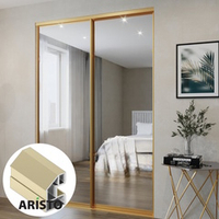 Дверь-купе ARISTO AVERS, зеркало, профиль золото матовое