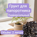 Грунт для Папоротника Универсальный, 2 литра грунт универсальный 2 литра