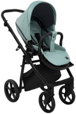 Детская коляска Roan Esso Кожа 3 в 1 с автокреслом Pituso Baesa Pro Black ESSK/214/1 Misti Mint/Grey/руч.Черный