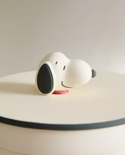 ZARA HOME КОНТЕЙНЕР ДЛЯ ХРАНЕНИЯ PEANUTS™, РАЗНОЦВЕТНЫЙ