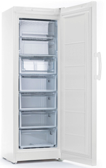 Морозильная камера INDESIT DSZ 5175 G
