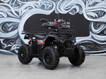 Квадроцикл SHARMAX 280 RX Activator