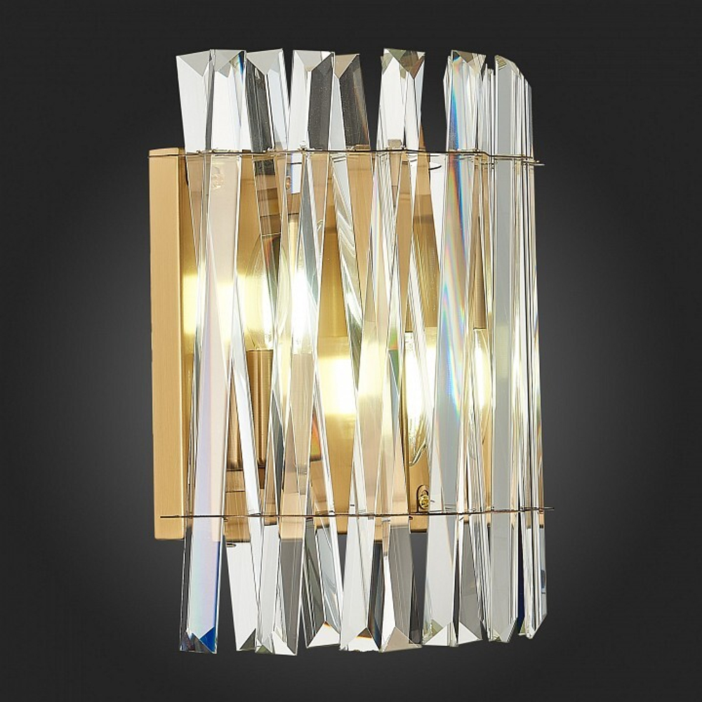 Накладной светильник ST-Luce Fabio SL1170.301.02