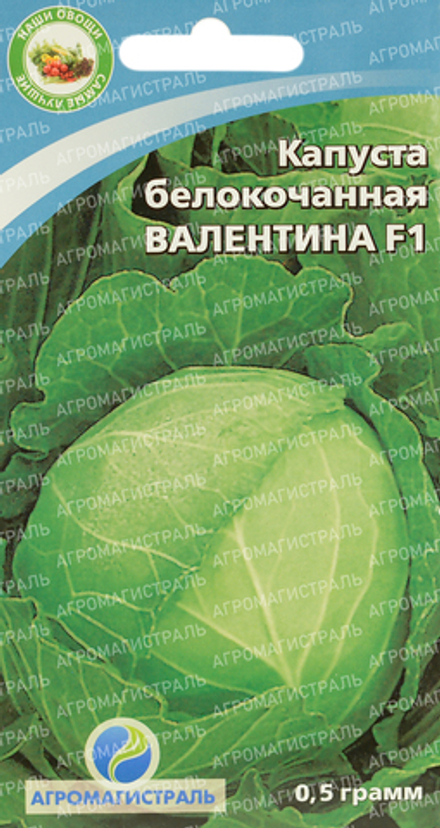 Капуста Валентина Агромагистраль Ц