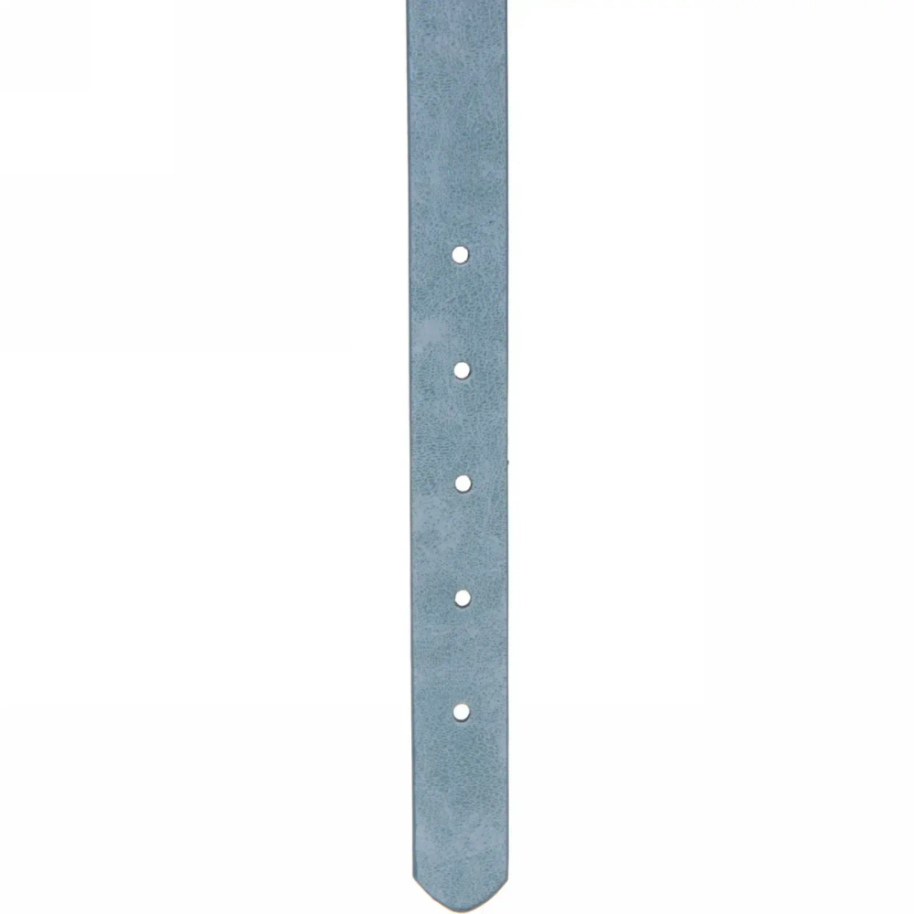 Ошейник искусственная кожа «Друг» 2*48см цвет голубой Ультрамарин