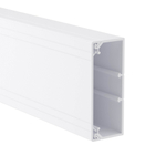 TA-GN 100x40 Короб с крышкой с направляющими для установки разделителей