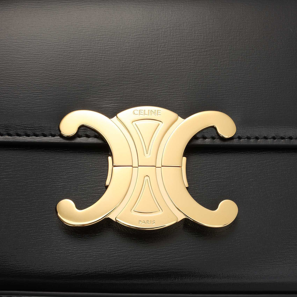 Сумка CELINE Triomphe, 194143BF4-38NO