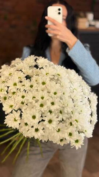 Хризантема кустовая