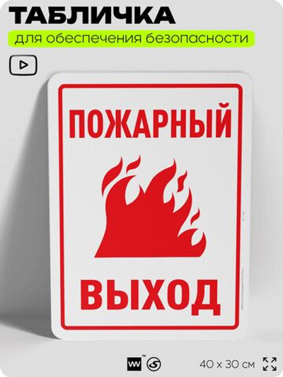 Табличка для обеспечения безопасности "Пожарный выход", для офиса, по охране труда для предприятия, организаций, 40х30 см, Silver Plane x Айдентика Технолоджи