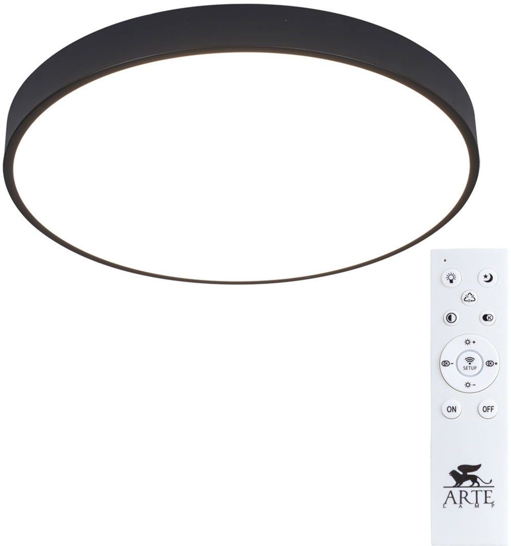 Накладной светильник Arte Lamp A2672PL-1BK