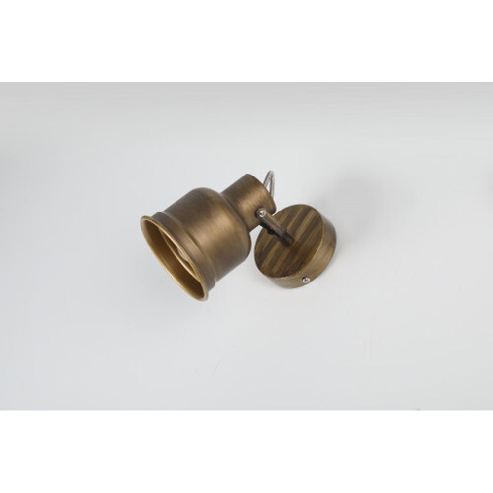 Светильник настенно-потолочный спот Rivoli Inessa 7035-701 поворотный 1 х Е27 40 Вт