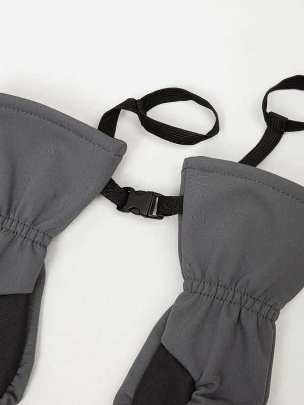 Варежки Softshell 