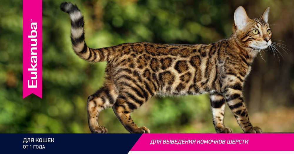 Eukanuba Adult Hairball Indoor сбалансированный корм для кошек 400г