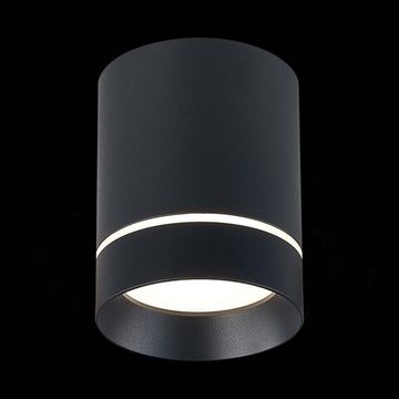 ST115.442.12 Светильник потолочный Черный LED 1*12W 4000K 840Lm Ra&gt;90 120° IP20 D79xH100 170-240V Накладные светильники