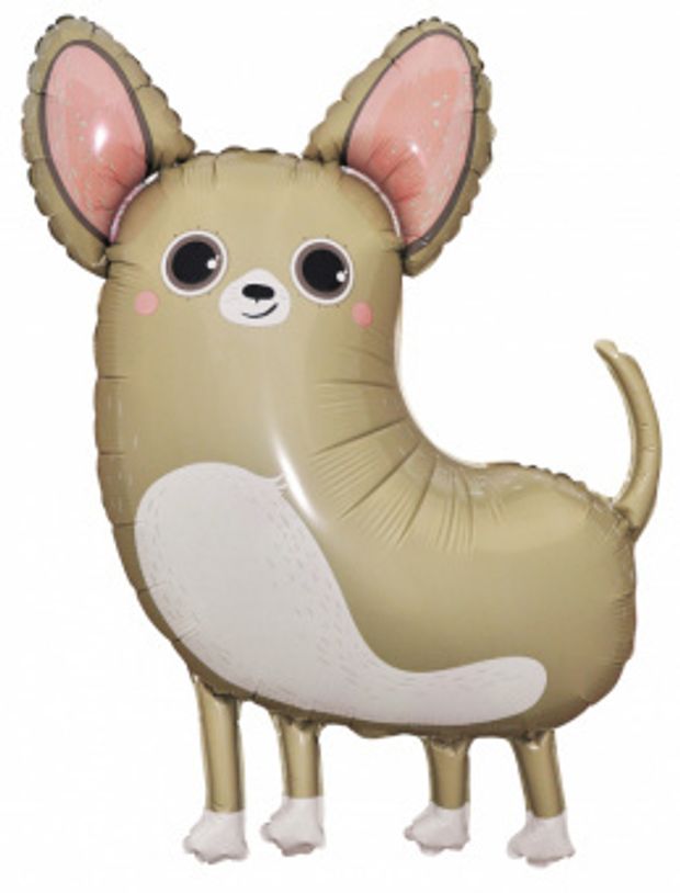 К Шар-фигура, фольга, "Собака чихуахуа" (Falali), 35"/88 см (БГ-34)