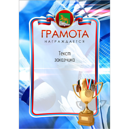 PNDiploma-039 с текстом