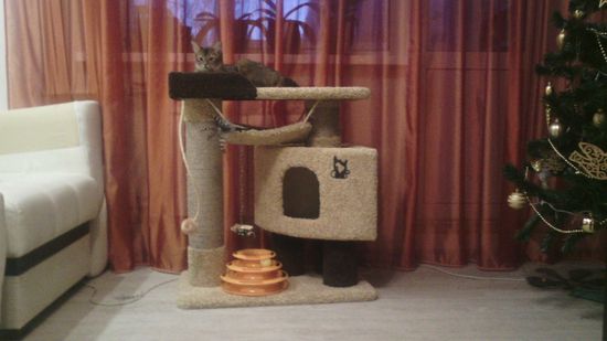 Домик для кота К-126