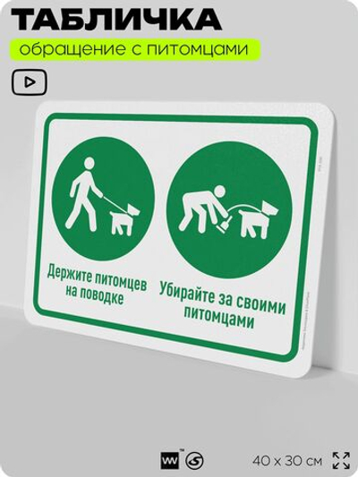 Табличка "Держите питомцев на поводке, убирайте за ними" на дверь и забор, для двора, дома, подъезда, 40х30 см, Silver Plane x Айдентика Технолоджи