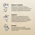 Сухой корм CRAFTIA NATURA для взрослых собак средних и крупных пород из курицы и индейки 10 кг