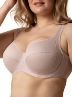 Бюстгальтер на каркасах с мягкой чашкой (Размер: 90G) (Цвет: черный)