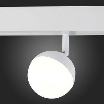 ST358.546.07 Магнитный трековый светильник белый LED 1*7W 4000K 520Lm Ra&gt;80 120° IP20 L120xW90xH192 SKYLINE 48