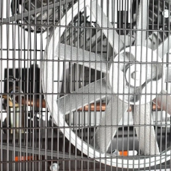 Компрессор поршневой ременной Patriot Remeza СБ 4/Ф-270 LB-50 В, 520306355